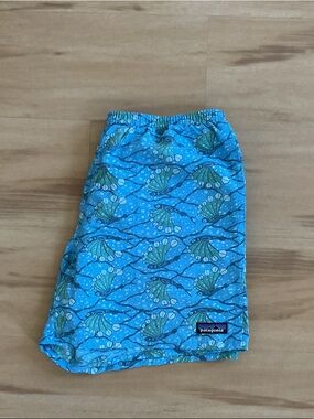 Patagonia Baggies FlyFish Pattern, 5”